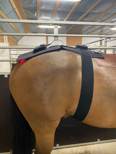 RIISLUND Light Therapy BLUE Pro