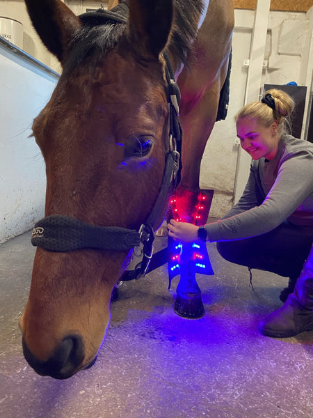 RIISLUND Light Therapy BLUE Pro