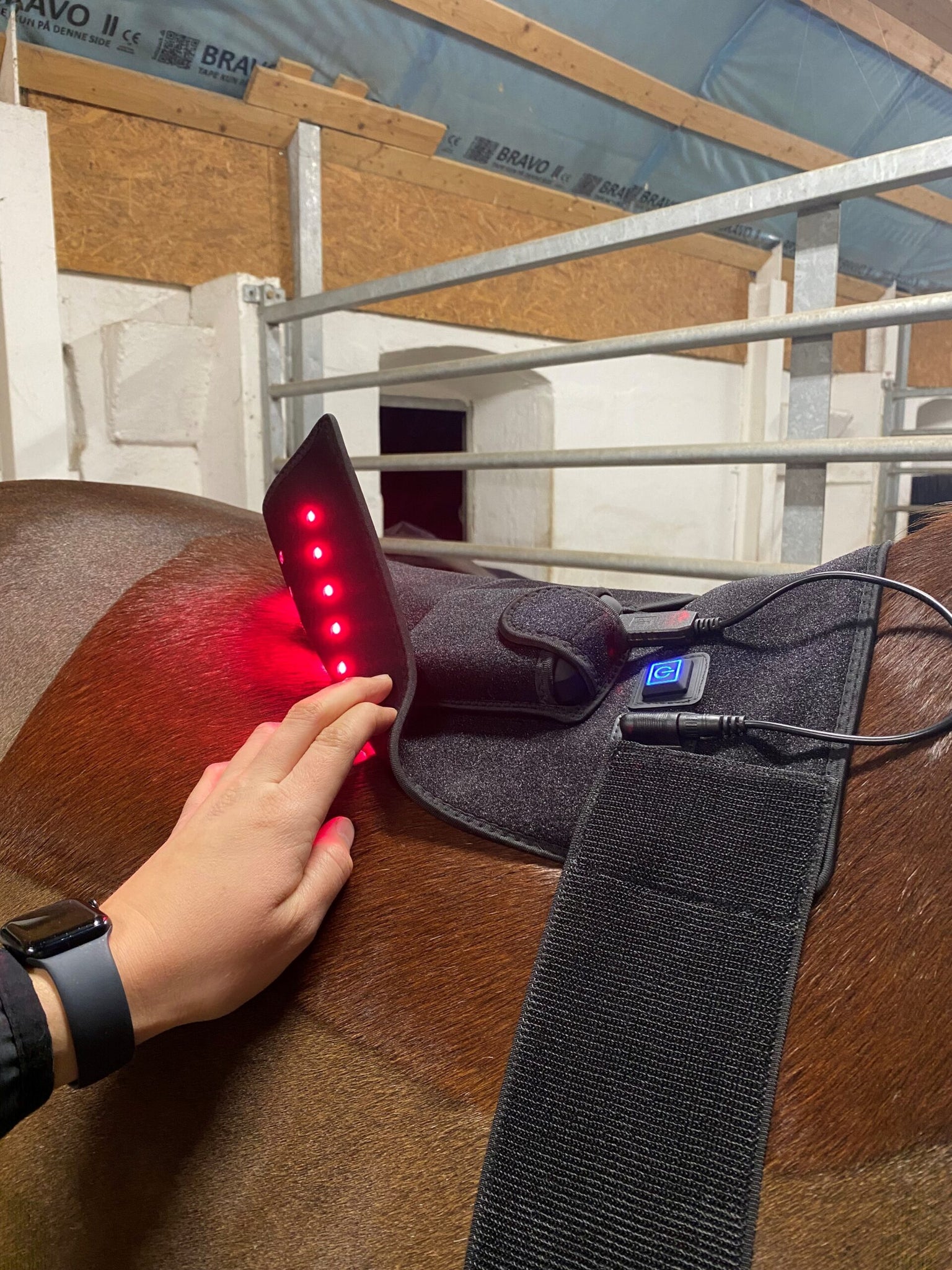 RIISLUND Light Therapy RED Pro