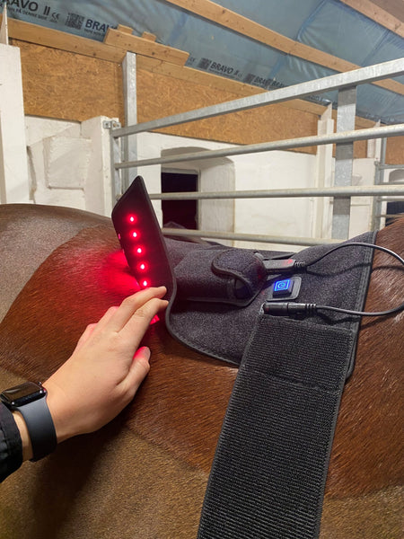 RIISLUND Light Therapy RED Pro