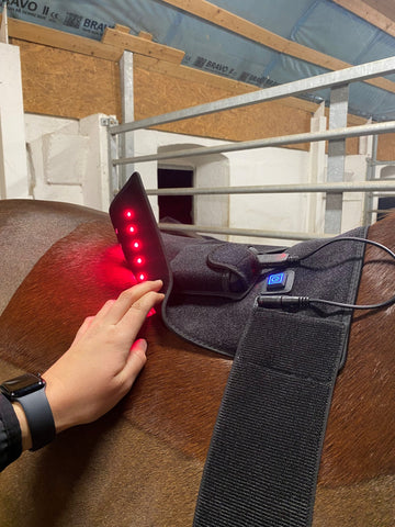 RIISLUND Light Therapy RED Pro