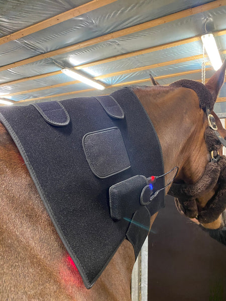 RIISLUND Light Therapy RED Pro