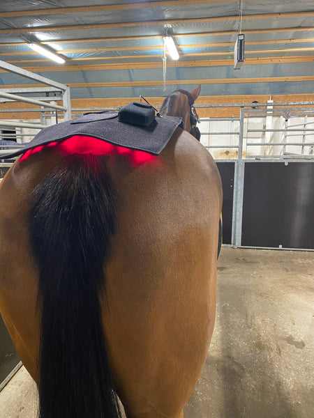 RIISLUND Light Therapy RED Pro