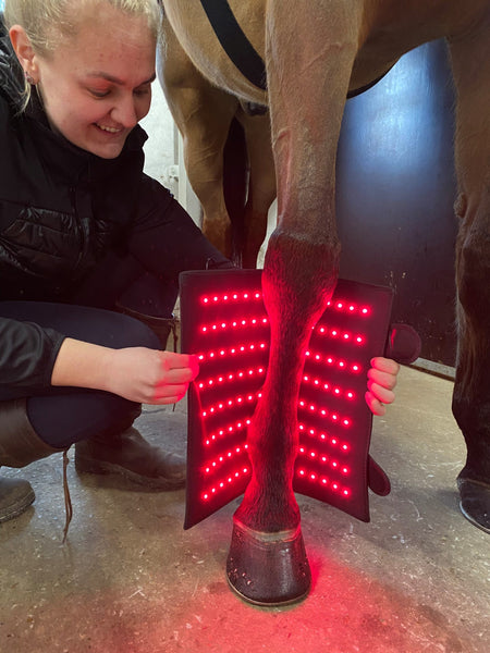 RIISLUND Light Therapy RED Pro